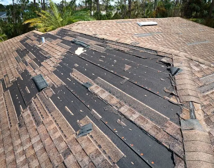 How Storm Damage Shows Up on Your Roof